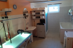 Náš psí salón 2